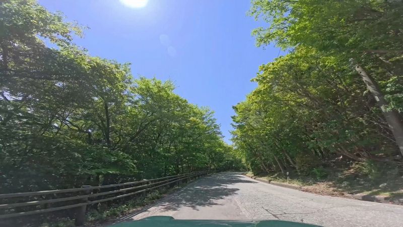 遠笠山道路